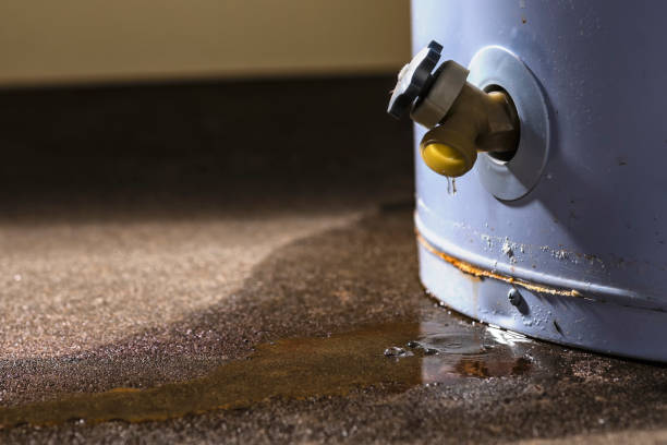 Best Carpet water damage restoration  in Monroe, IA