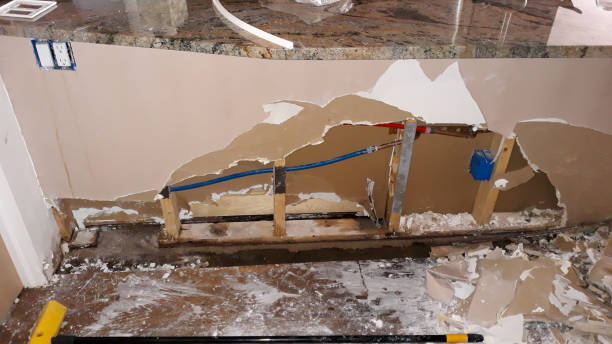 Best Mold removal after water damage  in Monroe, IA