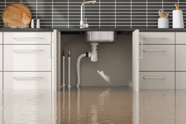  Monroe, IA Water damage restoration Pros