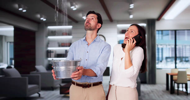 Trusted Monroe, IA Water damage restoration Experts